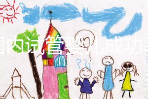 “國內(nèi)試管嬰兒成功率不比國外差” 對(duì)話輔助生殖專家：胚胎培養(yǎng)是概率提升關(guān)鍵