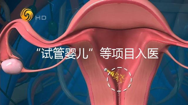 “試管嬰兒”等項(xiàng)目入醫(yī)保能如期落地嗎？廣西回應(yīng)