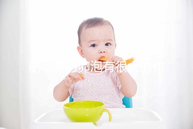 熟地黃對(duì)卵泡有很大的作用和作用能否改善性功能?