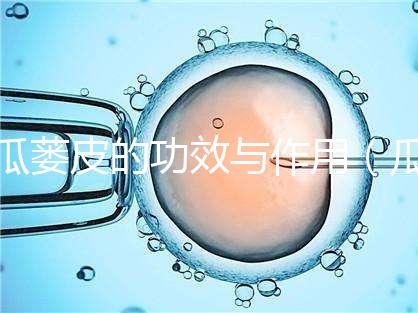 瓜蔞皮的功效與作用(瓜蔞皮的功效與作用與主治)