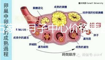 石家莊月子中心價(jià)格表整理,長(zhǎng)安最貴最好的一家原來是它
