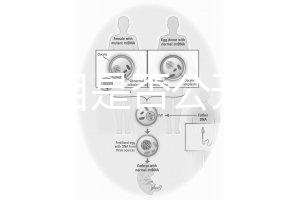 監(jiān)獄項(xiàng)目是否公開(kāi)招標(biāo)（監(jiān)獄項(xiàng)目是否公開(kāi)招標(biāo)文件）