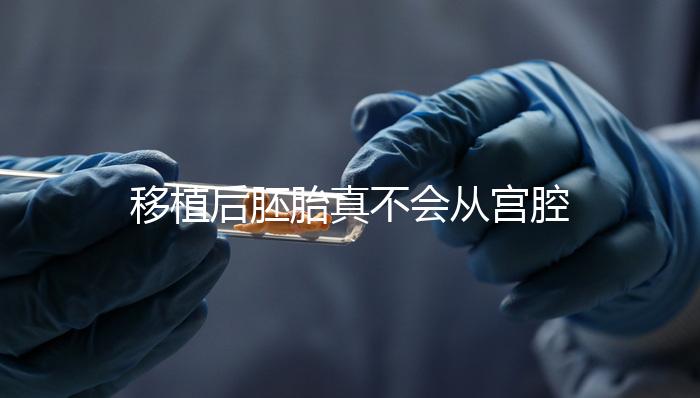 移植后胚胎真不會(huì)從宮腔掉出來(lái)！原因有這些...