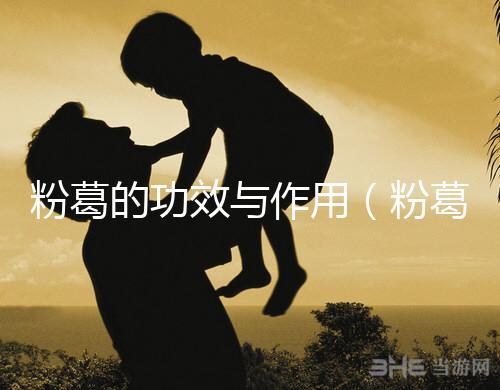 粉葛的功效與作用（粉葛與葛根有什么區別）