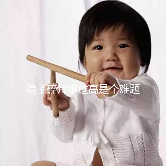 精子碎片率過(guò)高是個(gè)難題,改善質(zhì)量只靠勃銳精可不行