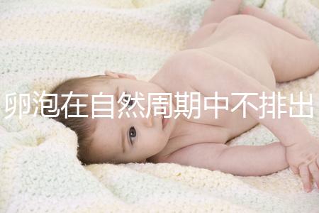 卵泡在自然周期中不排出可以移植快速get嗎?取卵好看嗎?