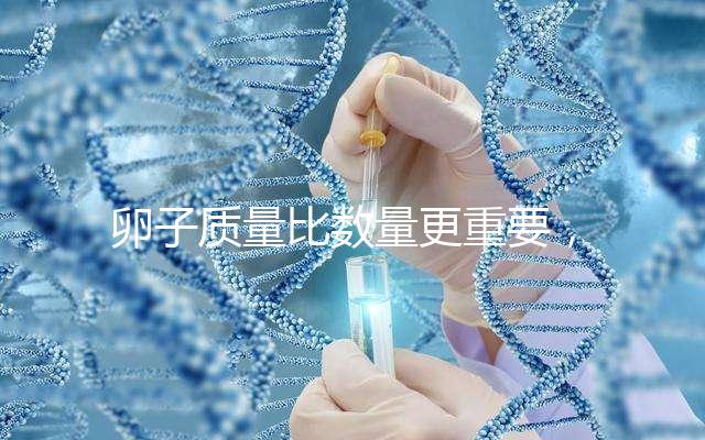 卵子質量比數量更重要，9個卵泡生男孩也很難