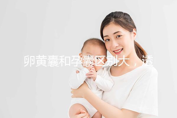 卵黃囊和孕囊區(qū)別大，透過B超首次為你揭露其形狀