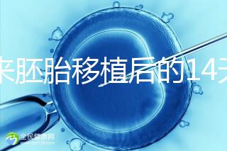 原來胚胎移植后的14天，這些信號預示著床成功