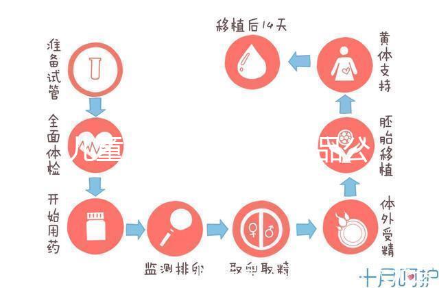 兒童牙膏十大國產(chǎn)產(chǎn)品公布，2024年哪些品牌看這個