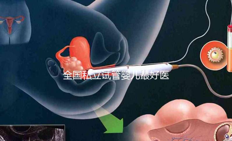 全國私立試管嬰兒最好醫(yī)院哪里最好，附醫(yī)院推薦