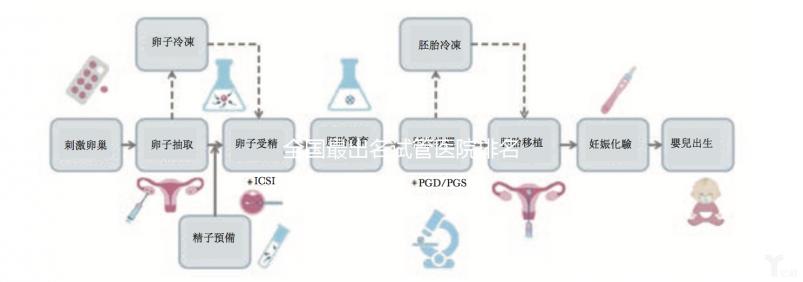 全國最出名試管醫院排名前5,內附試管費用及成功率一覽