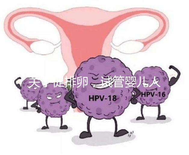 關于促排卵,試管嬰兒人群應該知道的 6 個真相