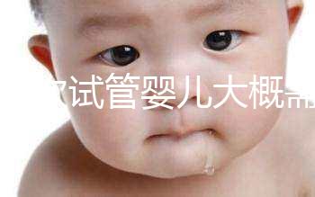 做一次試管嬰兒大概需要多...@健康養(yǎng)生小草老師的動態(tài)