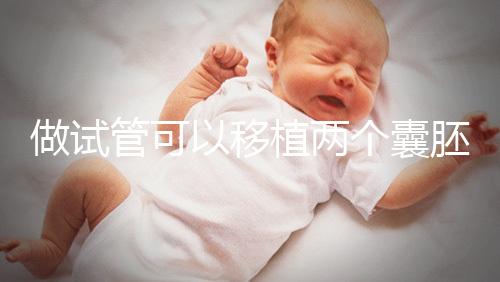 做試管可以移植兩個囊胚嗎？