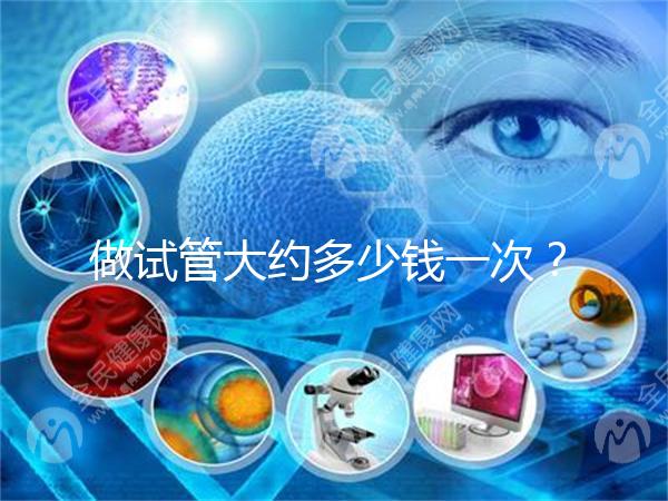 做試管大約多少錢(qián)一次？