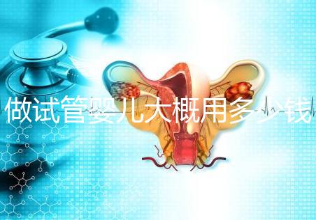 做試管嬰兒大概用多少錢，做試管嬰兒一般需要多少錢