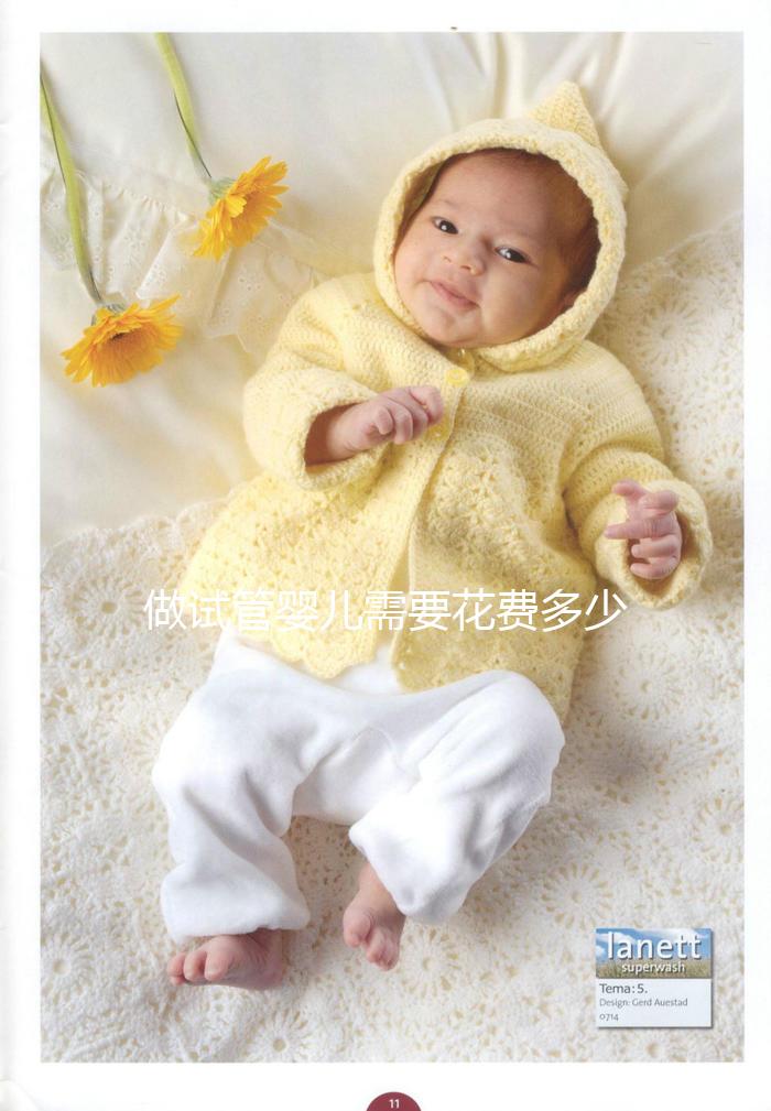 做試管嬰兒需要花費(fèi)多少錢