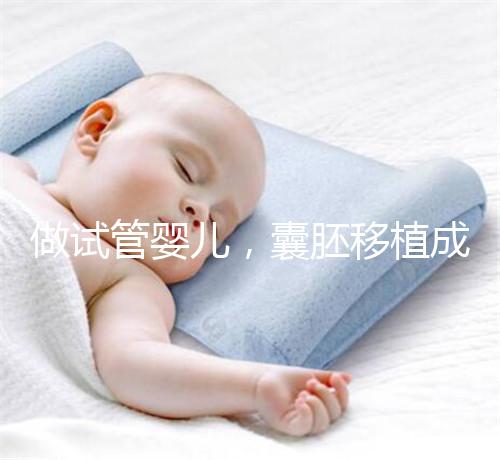 做試管嬰兒,囊胚移植成功懷孕的幾率更高?