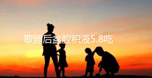 取卵后盆腔積液5.8吃什么好？這4種食物助你更快恢復(fù)