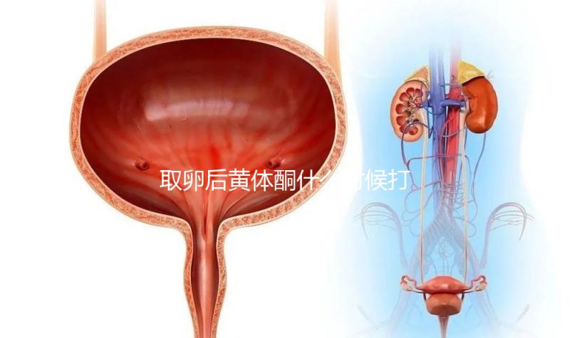 取卵后黃體酮什么時(shí)候打？3種人群最佳注射時(shí)間各不同