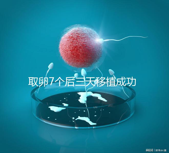 取卵7個(gè)后三天移植成功率真不低,關(guān)鍵要滿(mǎn)足這5大條件