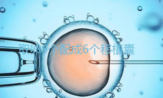取卵9個配成6個移植囊胚成功率不高？專家：做三代試管夠了