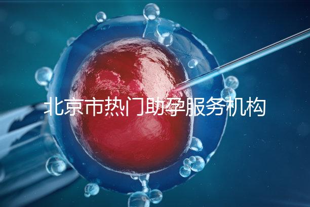 北京市熱門助孕服務(wù)機構(gòu)排名榜單！這三家性價比比較出眾！