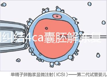 別糾結(jié)4ca囊胚解凍復(fù)蘇最早幾天能測出了，著床率先了解下