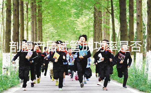 剖腹產后試管成功率是否很低？適當的調理影響真的很小