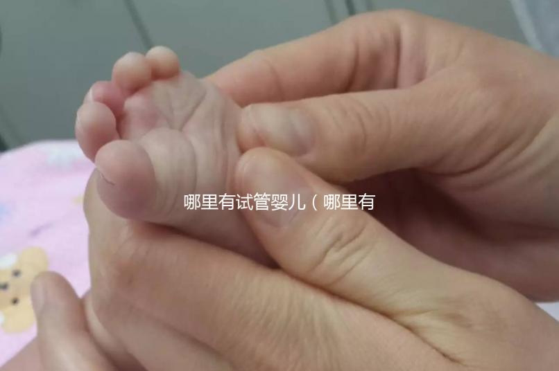 哪里有試管嬰兒（哪里有試管嬰兒的醫(yī)院）