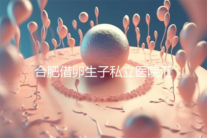 合肥借卵生子私立醫院匯總，2024哪家排名好一覽了然