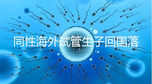 同性海外試管生子回國落戶講方法，男同上戶過程更復(fù)雜
