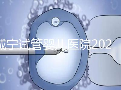 咸寧試管嬰兒醫院2024年成功率排名公開,哪家好一目了然
