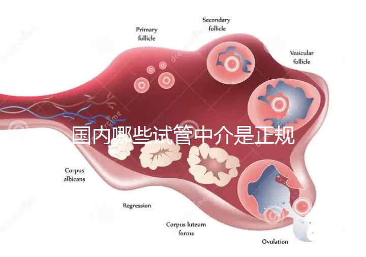國(guó)內(nèi)哪些試管中介是正規(guī)的看過(guò)來(lái),可不止北京百匯這一家