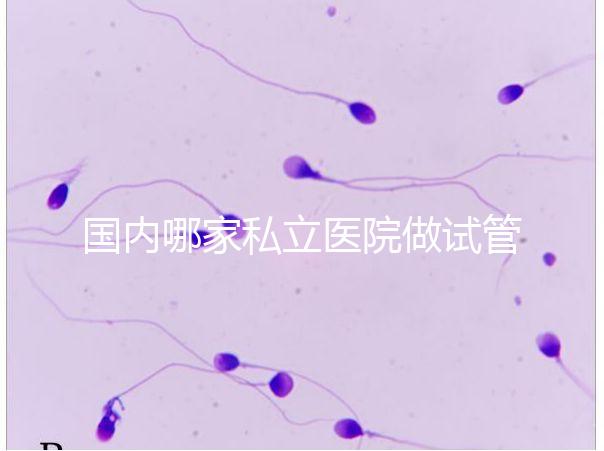 國內哪家私立醫院做試管嬰兒好？統計正規私立試管醫院排名