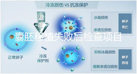 囊胚移植失敗后檢查項目，查免疫、內(nèi)分泌必不可少