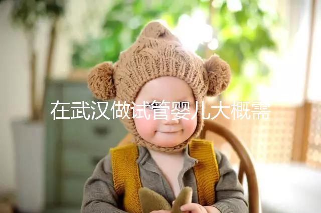 在武漢做試管嬰兒大概需要多少錢？武漢同濟醫院做試管可以選性別嗎？