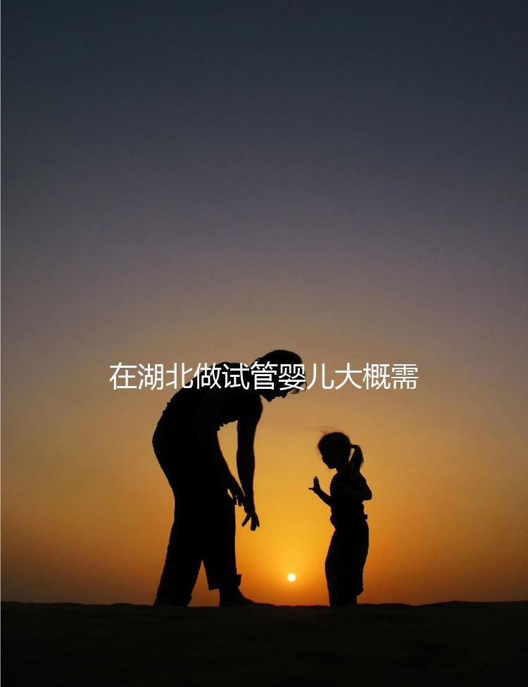 在湖北做試管嬰兒大概需要準(zhǔn)備多少費(fèi)用？詳細(xì)費(fèi)用解析