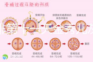 促排第十一天金秀兒灰印、白板均有希望，抽血hcg2懷孕懸