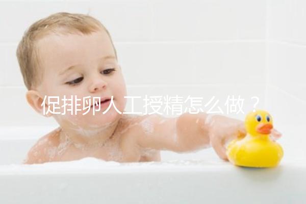 促排卵人工授精怎么做？4步操作過程戳這里了解