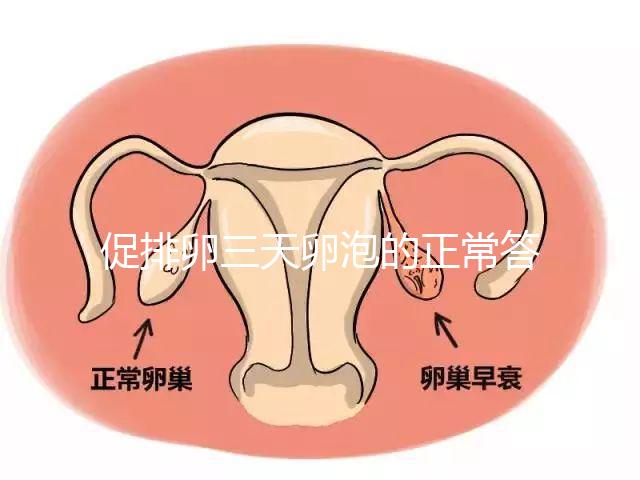 促排卵三天卵泡的正常答案是什么？取出8毫米卵原細(xì)胞的時(shí)間