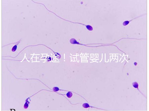 人在孕途！試管嬰兒兩次胎停育,了解這幾招能降低流產(chǎn)風(fēng)險