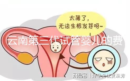 云南第三代試管嬰兒的費用是多少？如何選擇可靠的醫(yī)院？這篇文章的策略已經(jīng)為你做好了