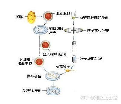 云南昆明三代試管助孕費(fèi)用貴不貴呢?三代試管懷孕費(fèi)用參考表!