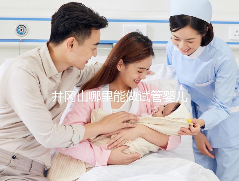 井岡山哪里能做試管嬰兒？江西省內這些地方都可以