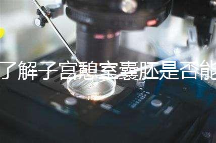 了解子宮憩室囊胚是否能成功移植,這里是否有出血