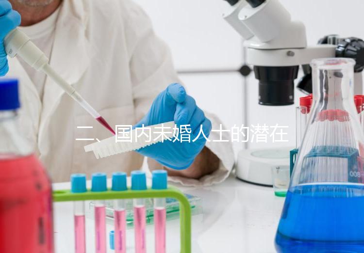 二、國內未婚人士的潛在選擇與風險