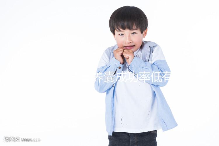 二代試管養(yǎng)囊成功率低有原因，禍?zhǔn)鬃锟蚴桥咛ベ|(zhì)量