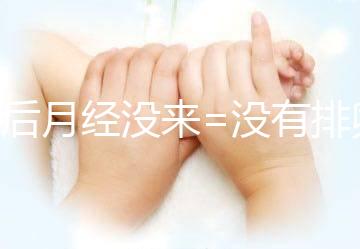 產后月經沒來=沒有排卵=不會懷孕？想得美！